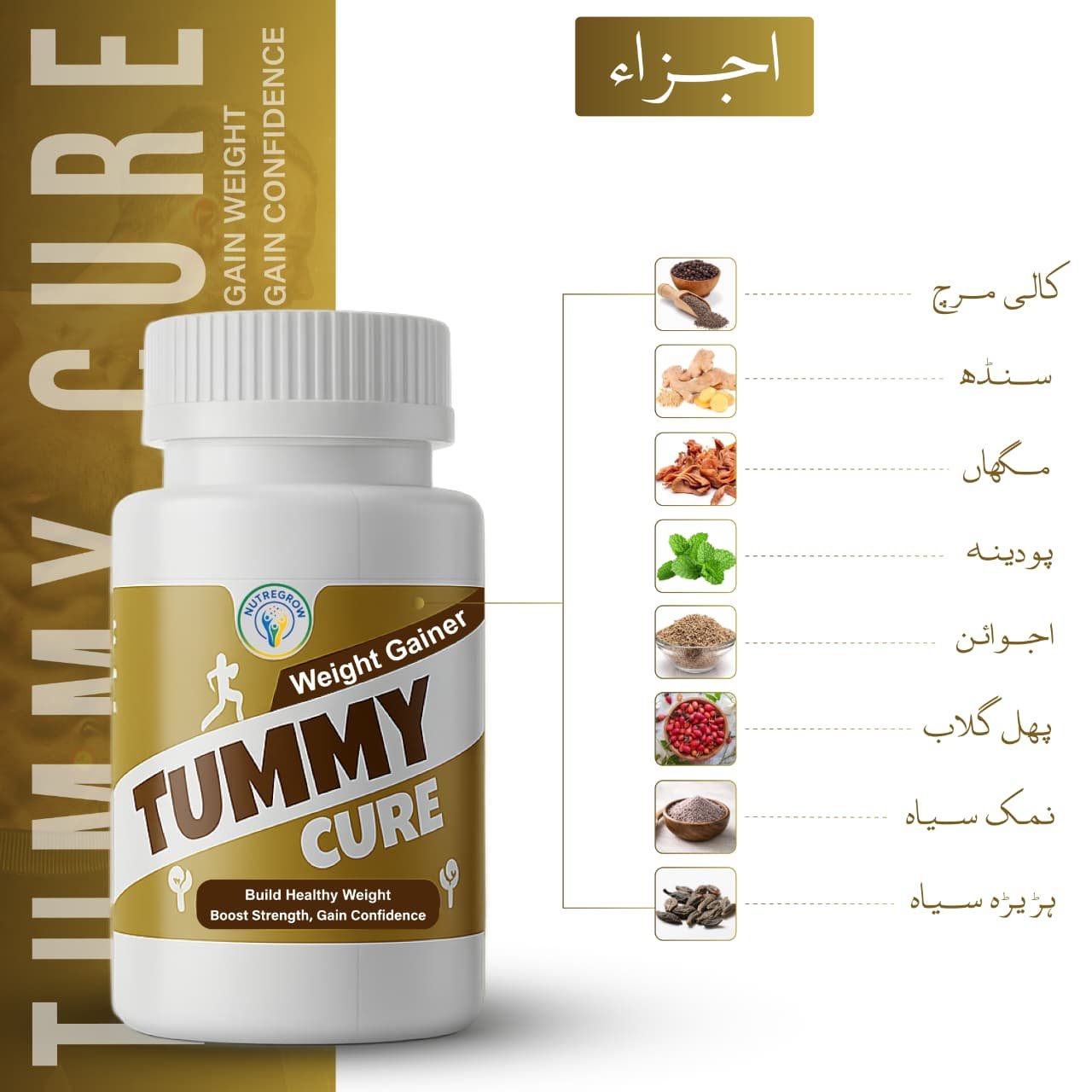 (Weight Gain Combo)